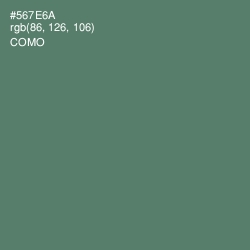 #567E6A - Como Color Image