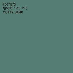 #567E73 - Cutty Sark Color Image