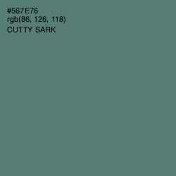 #567E76 - Cutty Sark Color Image