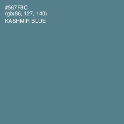 #567F8C - Kashmir Blue Color Image