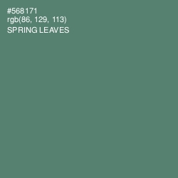 #568171 - Spring Leaves Color Image