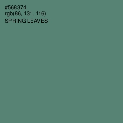 #568374 - Spring Leaves Color Image