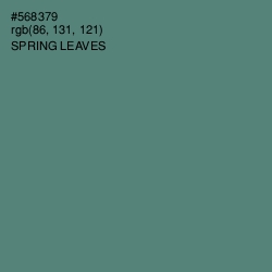 #568379 - Spring Leaves Color Image