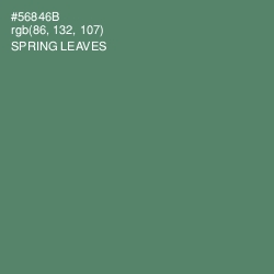 #56846B - Spring Leaves Color Image