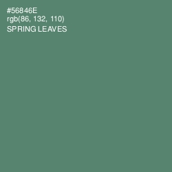 #56846E - Spring Leaves Color Image