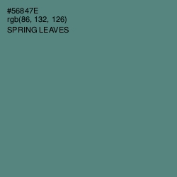 #56847E - Spring Leaves Color Image