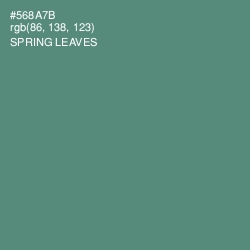 #568A7B - Spring Leaves Color Image