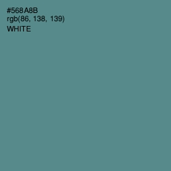 #568A8B - Smalt Blue Color Image