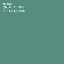 #568D7F - Spring Leaves Color Image