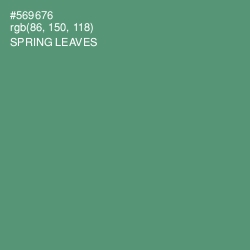 #569676 - Spring Leaves Color Image
