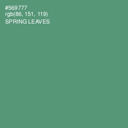 #569777 - Spring Leaves Color Image