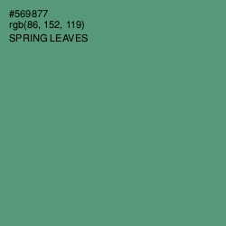 #569877 - Spring Leaves Color Image