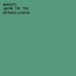 #56997C - Spring Leaves Color Image