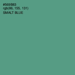 #569B83 - Smalt Blue Color Image