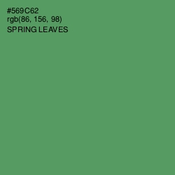 #569C62 - Spring Leaves Color Image