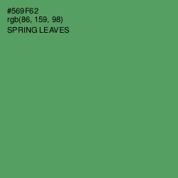 #569F62 - Spring Leaves Color Image