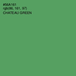 #56A161 - Chateau Green Color Image