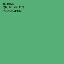 #56B075 - Aqua Forest Color Image