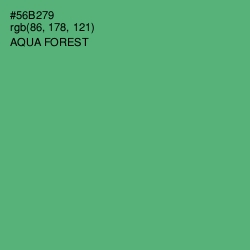 #56B279 - Aqua Forest Color Image