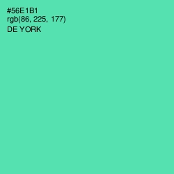#56E1B1 - De York Color Image