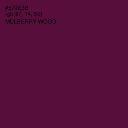 #570E3B - Mulberry Wood Color Image