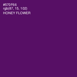 #570F66 - Honey Flower Color Image