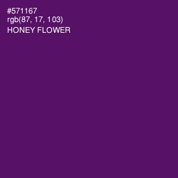 #571167 - Honey Flower Color Image