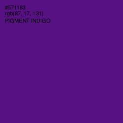 #571183 - Pigment Indigo Color Image