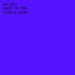 #5713FD - Purple Heart Color Image