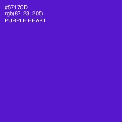 #5717CD - Purple Heart Color Image