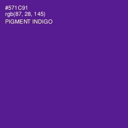 #571C91 - Pigment Indigo Color Image