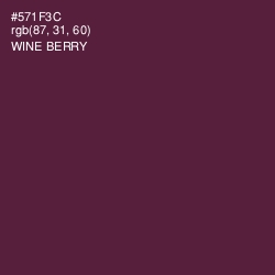 #571F3C - Wine Berry Color Image