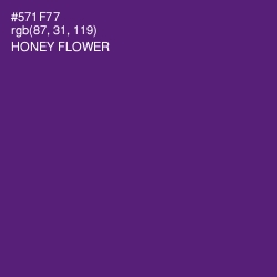 #571F77 - Honey Flower Color Image