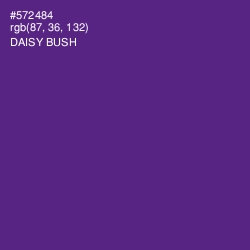#572484 - Daisy Bush Color Image