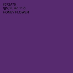 #572A70 - Honey Flower Color Image