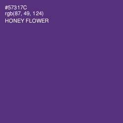 #57317C - Honey Flower Color Image