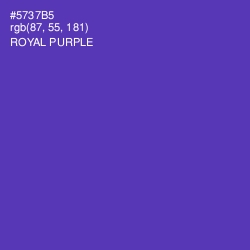 #5737B5 - Royal Purple Color Image