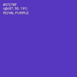 #5737BF - Royal Purple Color Image