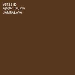 #57381D - Jambalaya Color Image