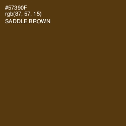 #57390F - Saddle Brown Color Image