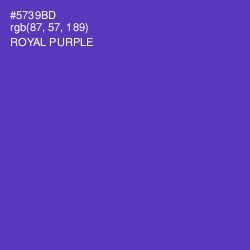 #5739BD - Royal Purple Color Image