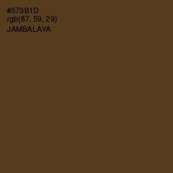 #573B1D - Jambalaya Color Image