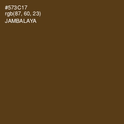 #573C17 - Jambalaya Color Image