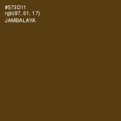#573D11 - Jambalaya Color Image