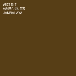 #573E17 - Jambalaya Color Image