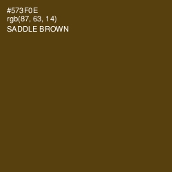 #573F0E - Saddle Brown Color Image