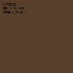 #573F2C - Irish Coffee Color Image