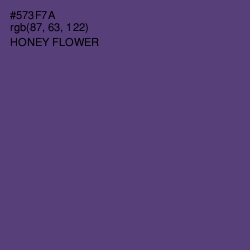 #573F7A - Honey Flower Color Image