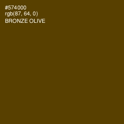 #574000 - Bronze Olive Color Image