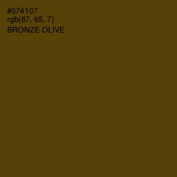 #574107 - Bronze Olive Color Image